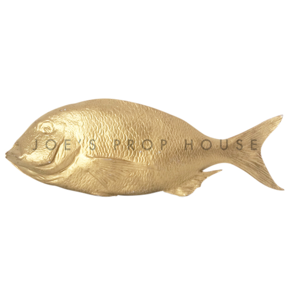 Gold Fish L15in