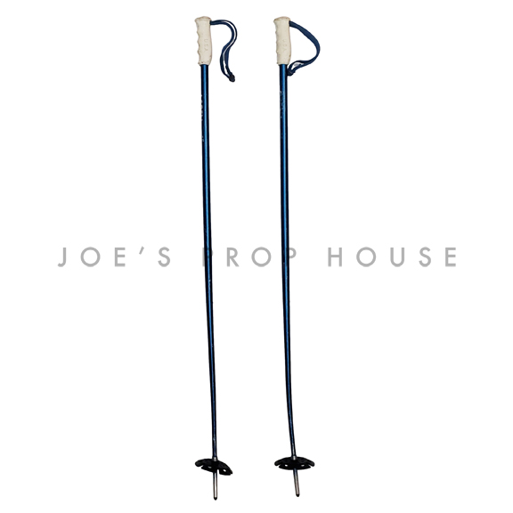 Pair of Navy Blue Ski Poles w/White Handles