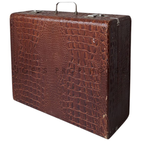 Windham Croc Hardshell Luggage Brown