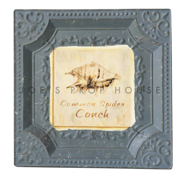 Common Spider Conch Metal Wall Art
