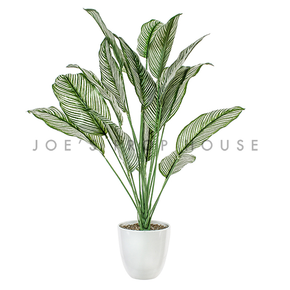 Small Potted Artificial Calathea Plant H26in