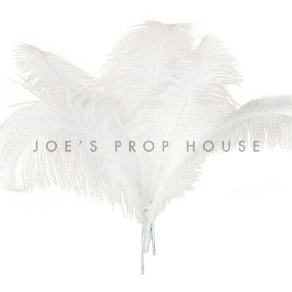 White Ostrich Feathers Large L24in
