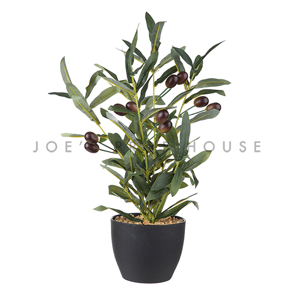 Small Potted Artificial Olive Plant H17in