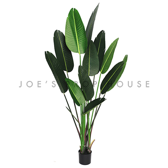 Large Potted Artificial Banana Leaf Plant H71in