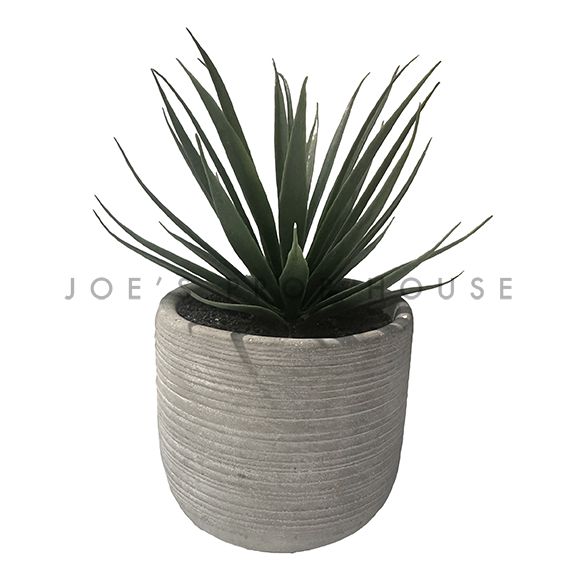 Zila Artificial Potted Succulent Plant H8.5in